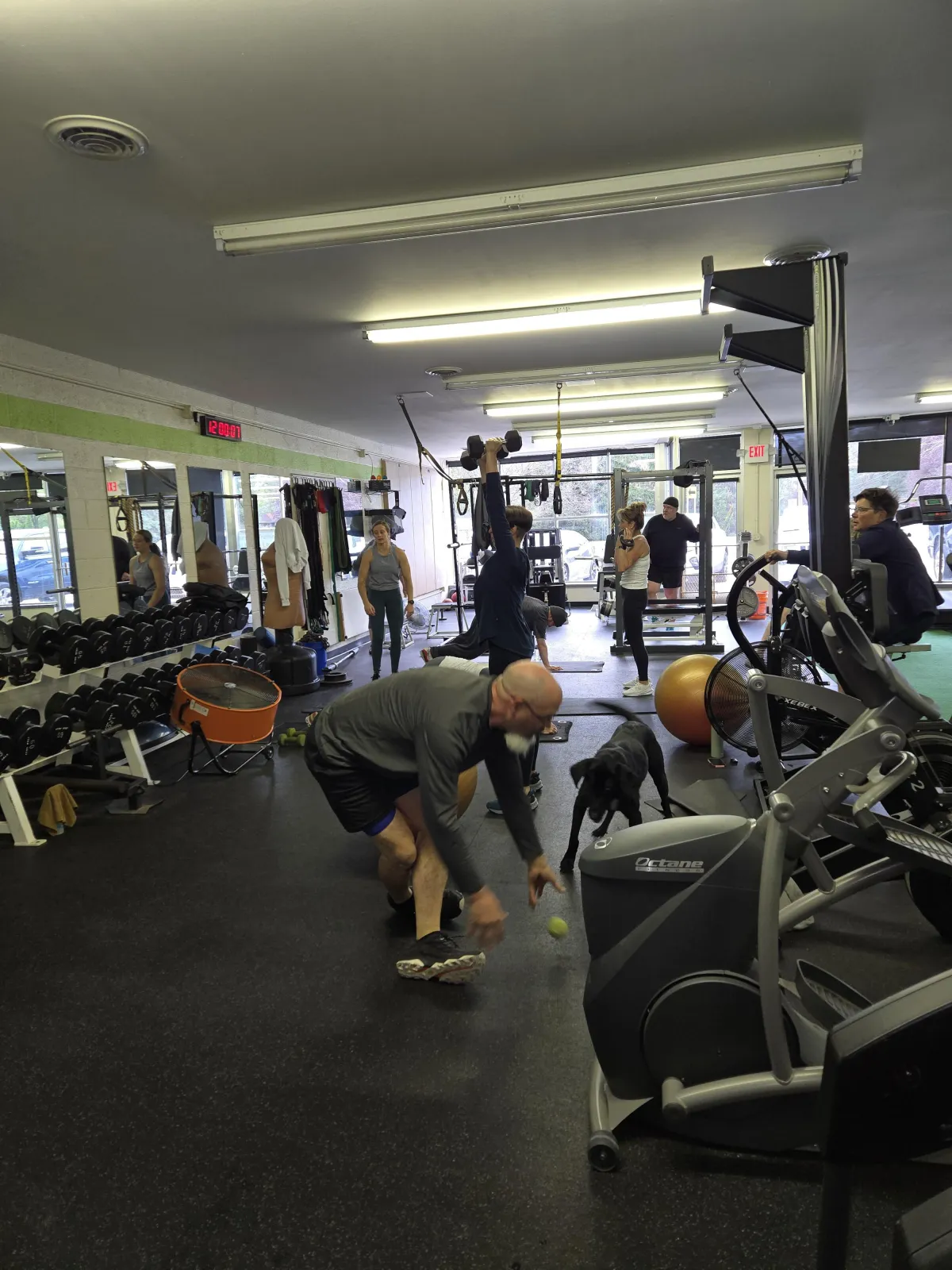 Small group workout at Health Targeted Solutions personal training gym in Clinton Township, MI
